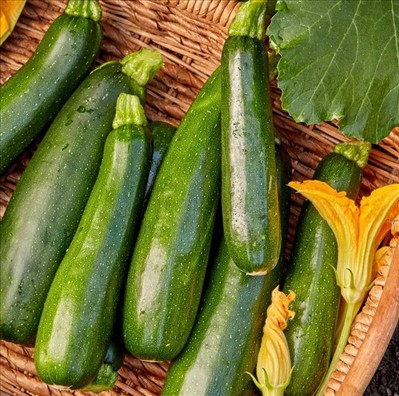 0060_20260111_1229_Burpees best squash.jpg